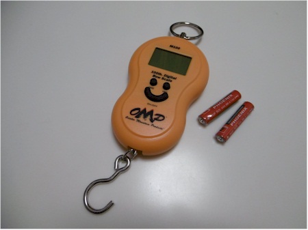 X-Spot Digital Scale